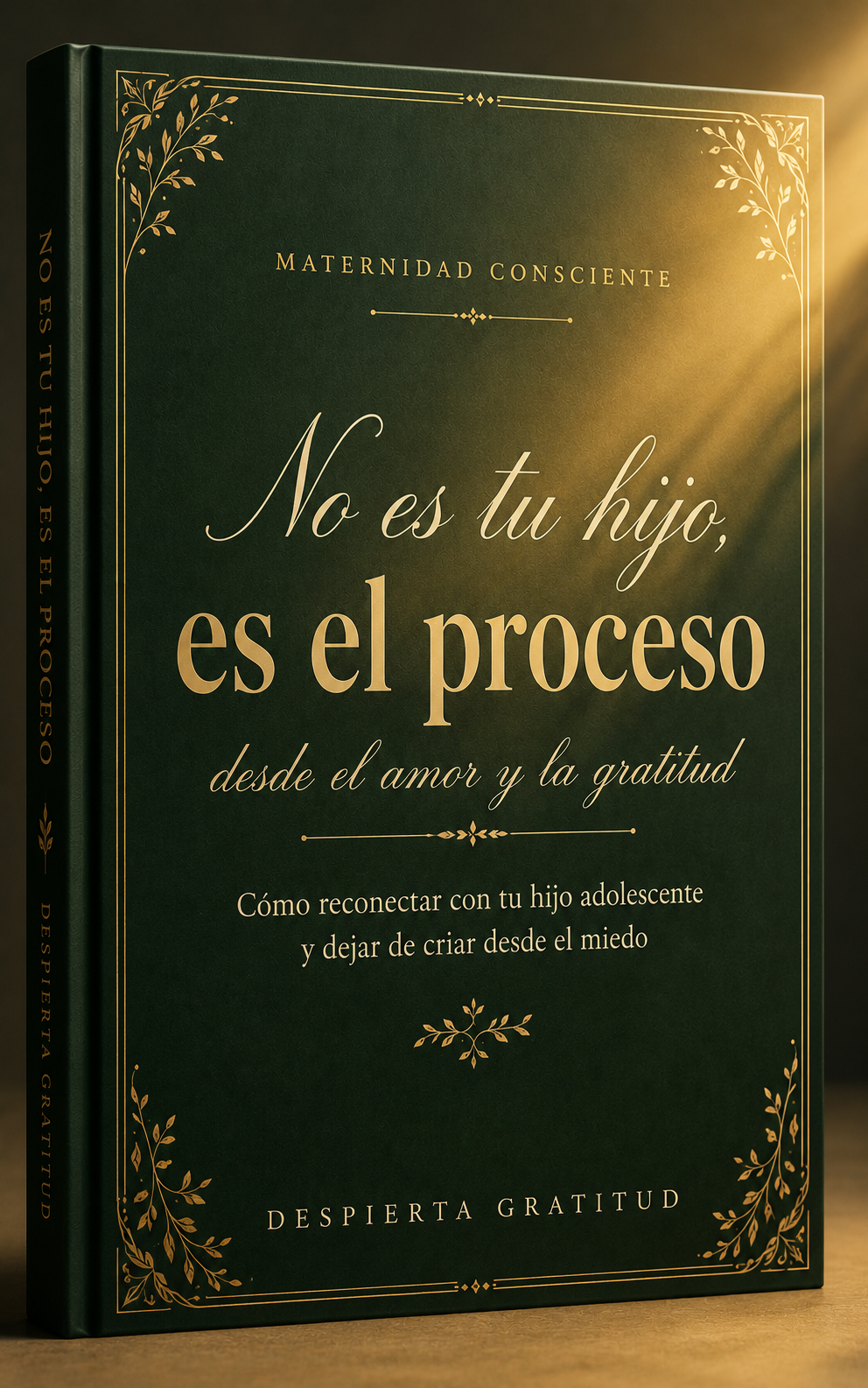 No es tu hijo, es el proceso - Bonus 2